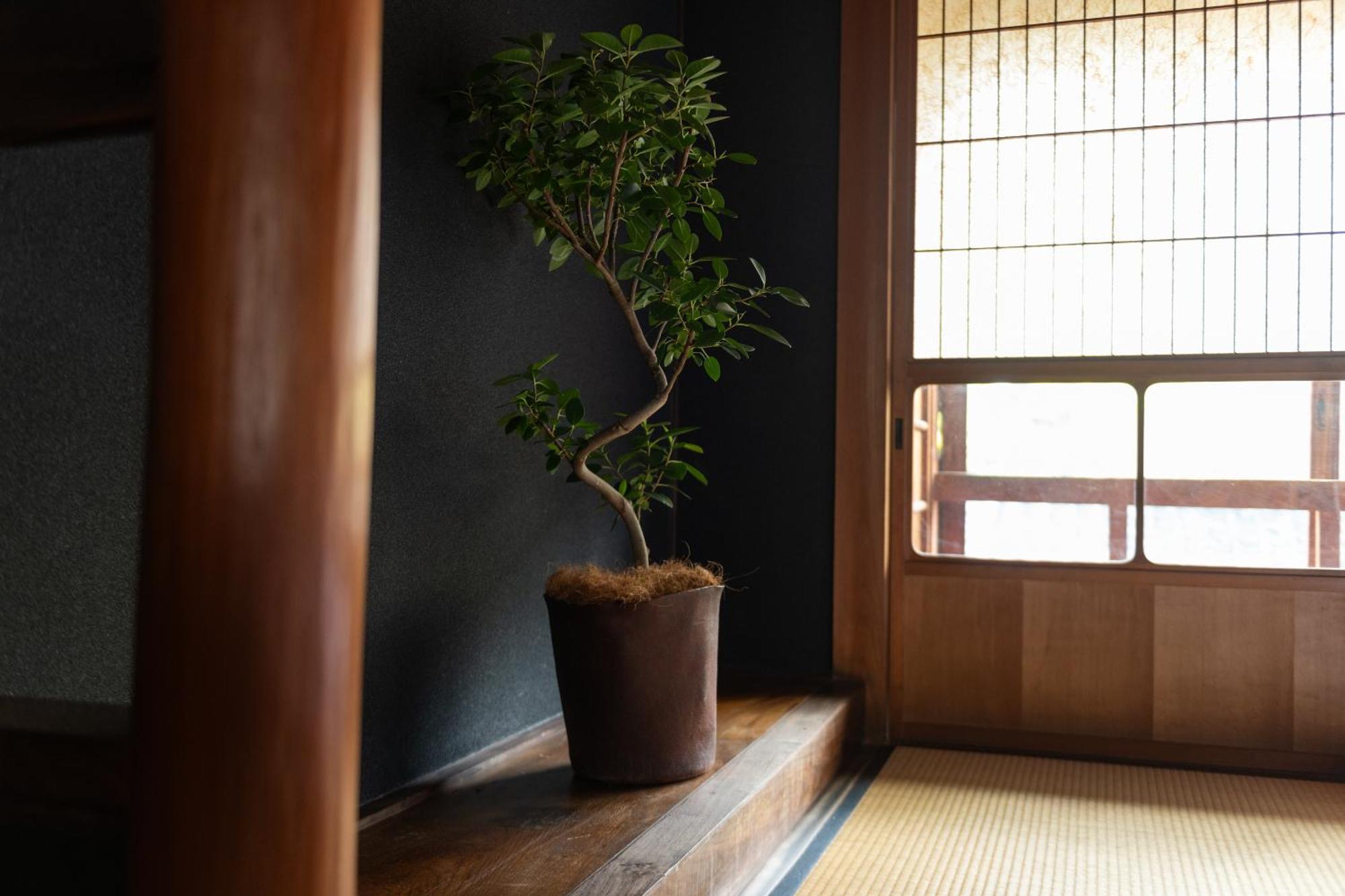 篠山城下町ゲストハウス Quolo Tamba-Sasayama Экстерьер фото